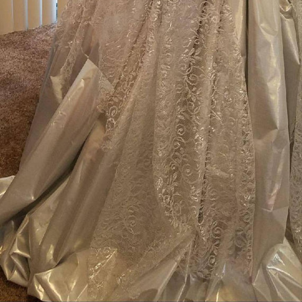 RAJATA Silver Lace & Lame' Nymph Wedding Ballgown - Picture 5 of 8